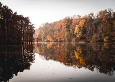 L'étang de Boulieu en automne