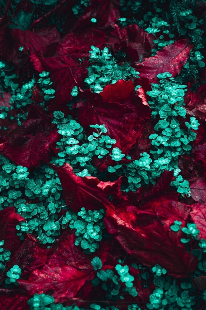septmai-blouge-6